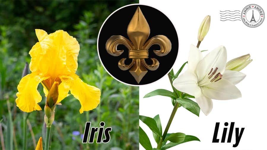 Fleur De Lis The National Flower Of France Isn T What You Think It